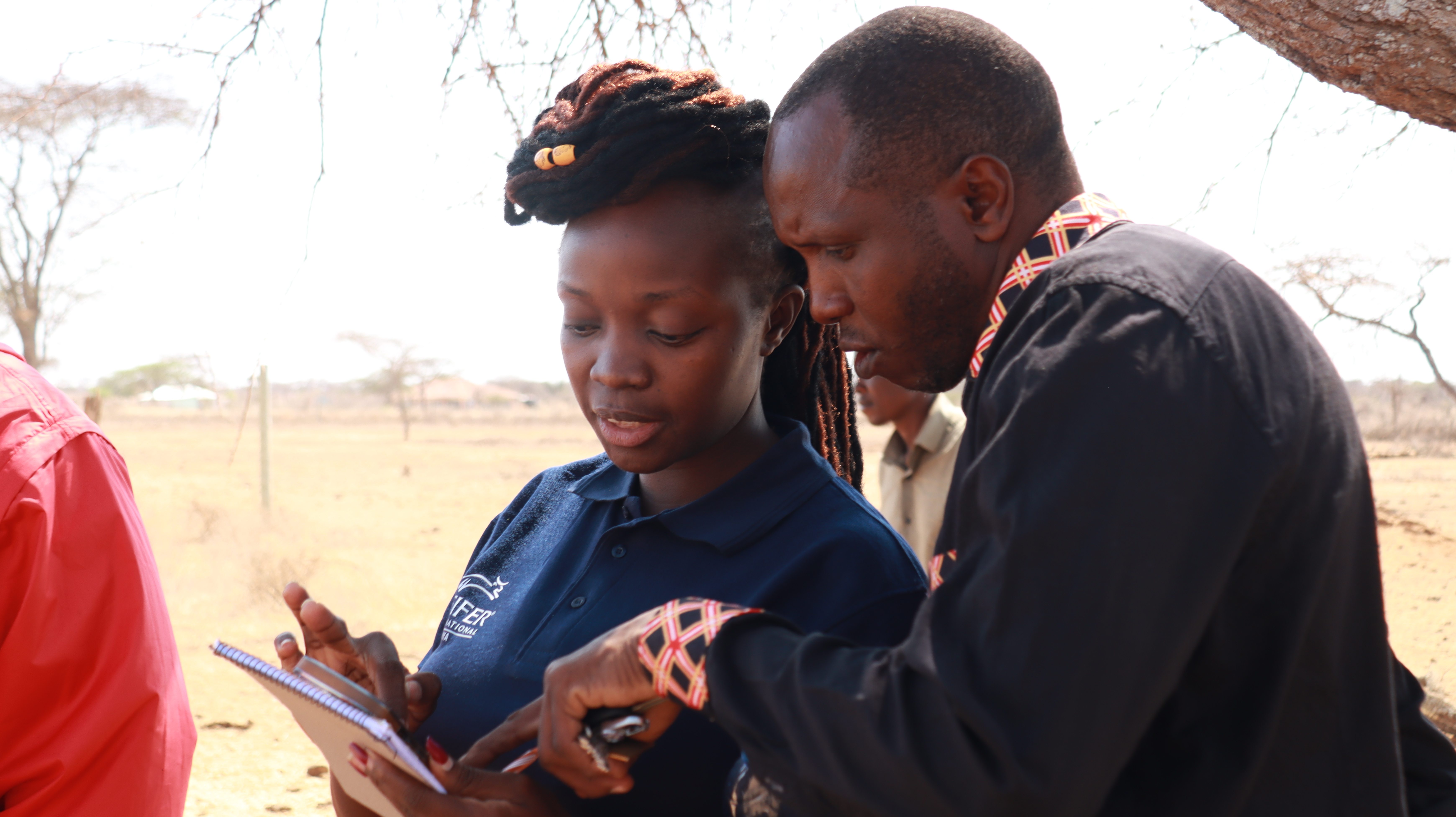 Clean Air for Blue Skies